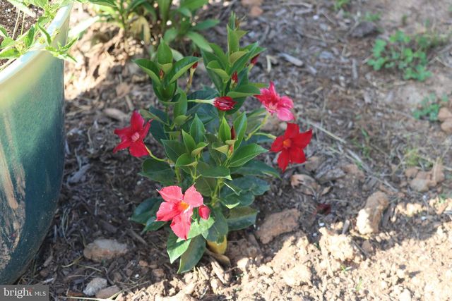 1185 BELLE MEADE RD, Bumpass, VA 23024