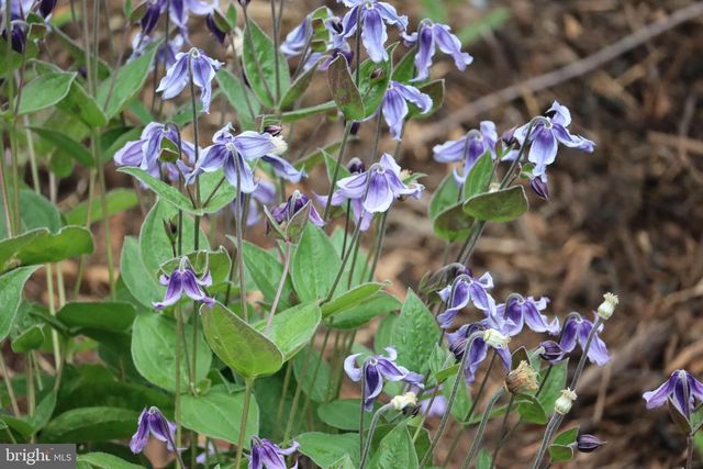 1185 BELLE MEADE RD, Bumpass, VA 23024