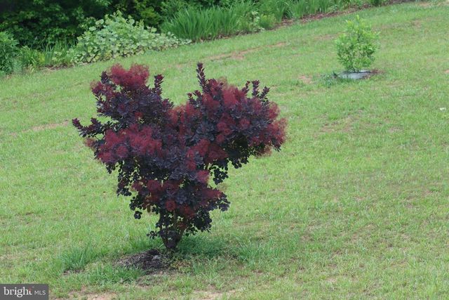 1185 BELLE MEADE RD, Bumpass, VA 23024