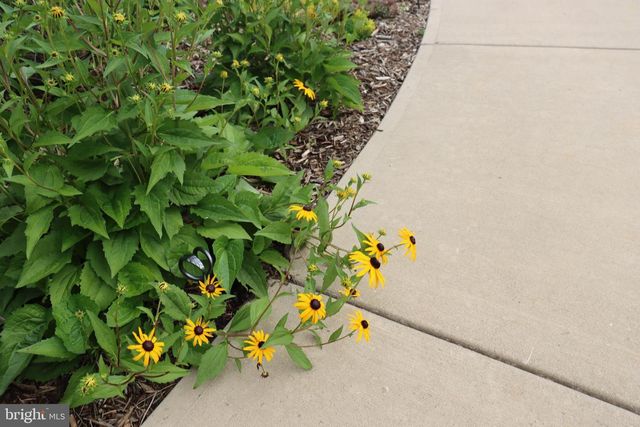 1185 BELLE MEADE RD, Bumpass, VA 23024