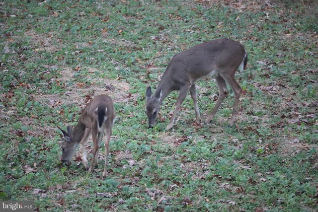 1185 BELLE MEADE RD, Bumpass, VA 23024