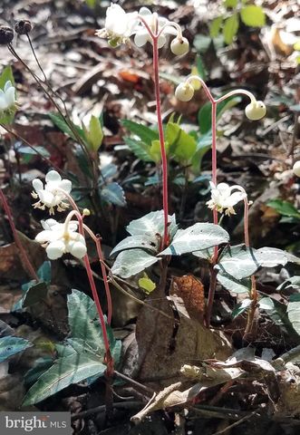 1185 BELLE MEADE RD, Bumpass, VA 23024