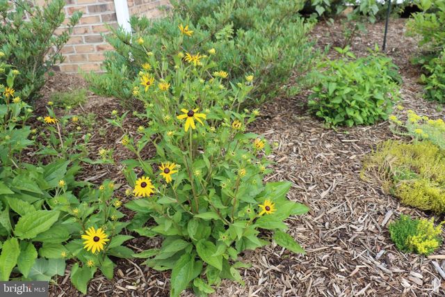 1185 BELLE MEADE RD, Bumpass, VA 23024