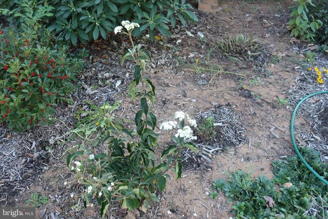 1185 BELLE MEADE RD, Bumpass, VA 23024