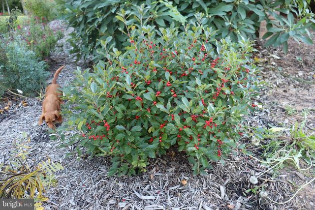 1185 BELLE MEADE RD, Bumpass, VA 23024