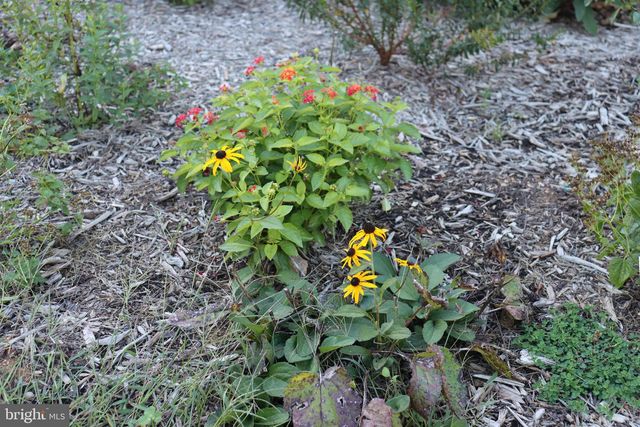 1185 BELLE MEADE RD, Bumpass, VA 23024