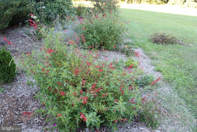 1185 BELLE MEADE RD, Bumpass, VA 23024