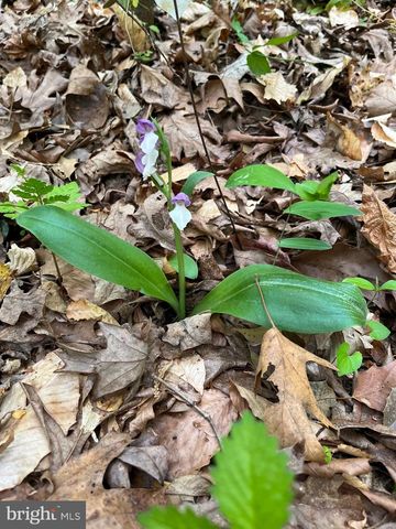 1185 BELLE MEADE RD, Bumpass, VA 23024