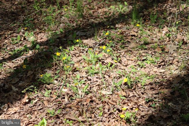 1185 BELLE MEADE RD, Bumpass, VA 23024