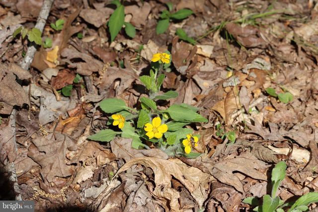 1185 BELLE MEADE RD, Bumpass, VA 23024