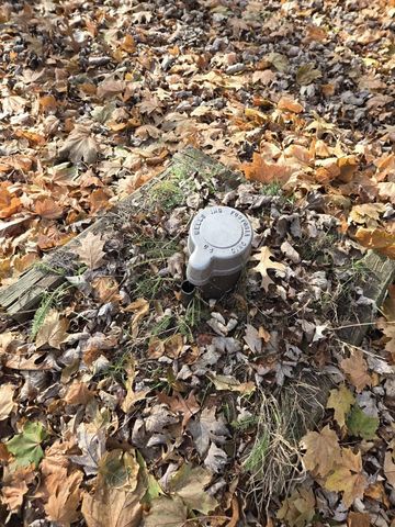 11209 Phyllis Drive, Clio, MI 48420