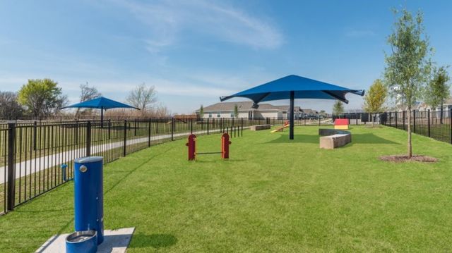 305 Carthage Drive, Princeton, TX 75407