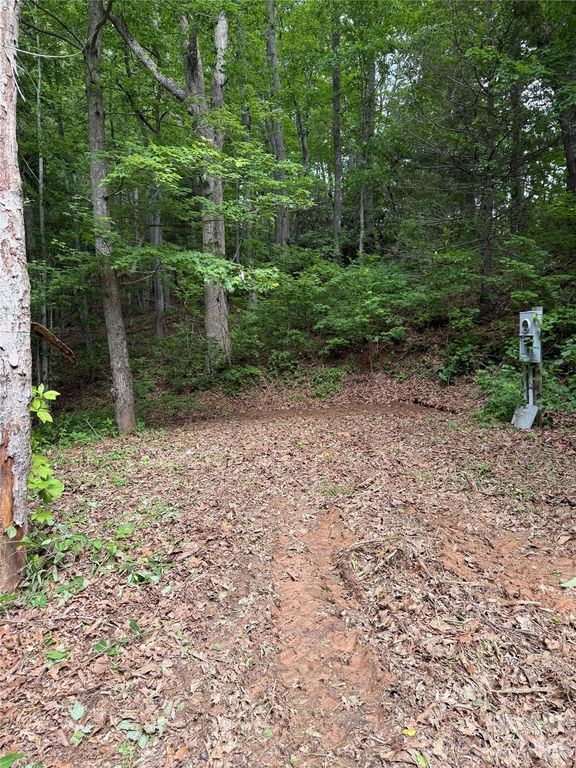 370 Spivey Mountain Road, Asheville, NC 28806
