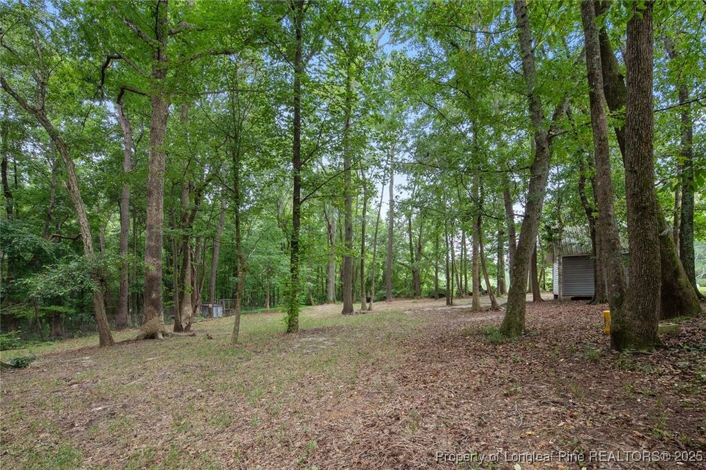 151 Mills Pond Road, Benson, NC 27504 — photo 9