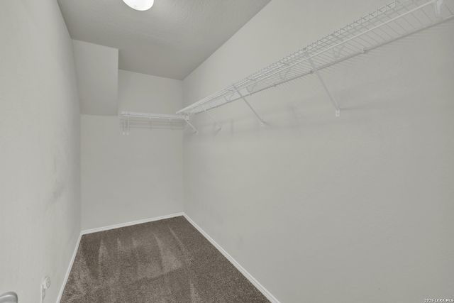 453 Nova Zembla, New Braunfels, TX 78130