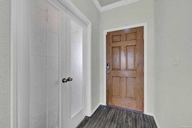 453 Nova Zembla, New Braunfels, TX 78130