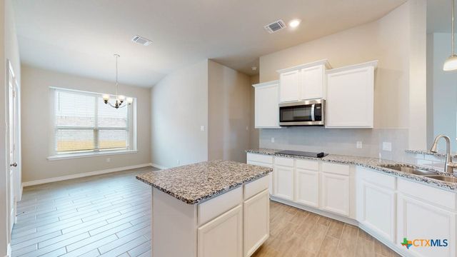 14519 Egon Street, Salado, TX 76571