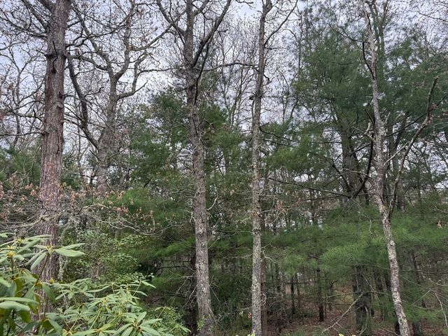 75 Newton St, Northborough, MA 01532