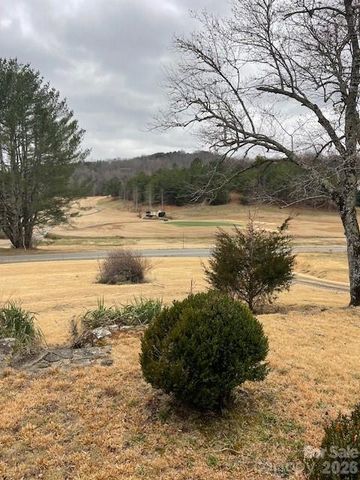 598 Buffalo Creek Road, Lake Lure, NC 28746