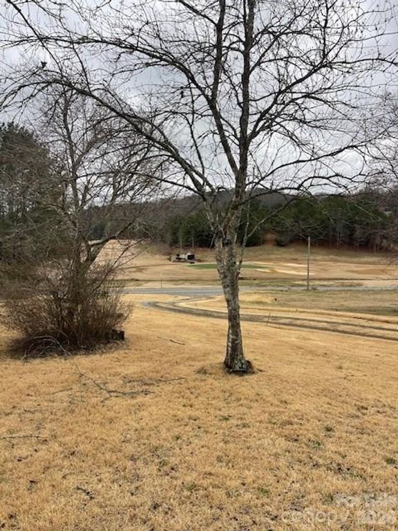 598 Buffalo Creek Road, Lake Lure, NC 28746