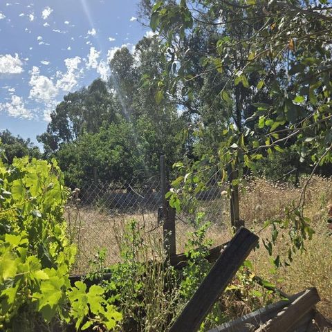 8830 Bradshaw Rd, Elk Grove, CA 95624