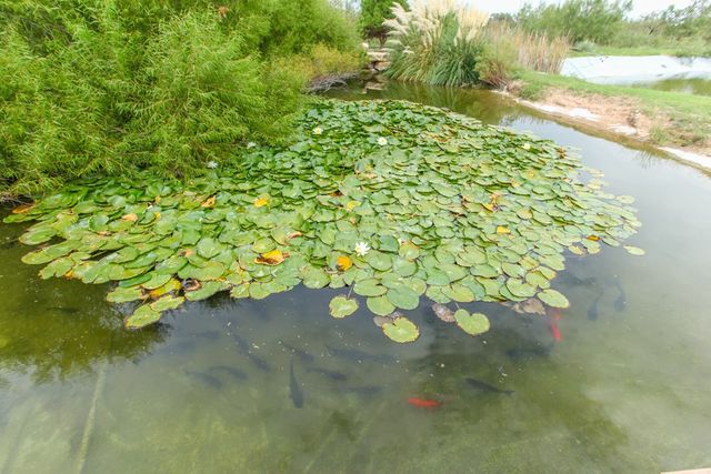 1800 Brent St, Big Spring, TX 79720