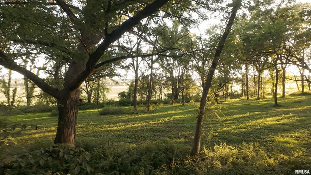 0000 E 1450 E Road, Dahinda, IL 61428