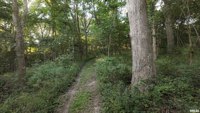 0000 E 1450 E Road, Dahinda, IL 61428