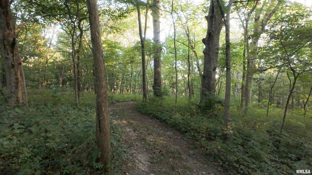 0000 E 1450 E Road, Dahinda, IL 61428