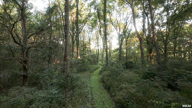 0000 E 1450 E Road, Dahinda, IL 61428