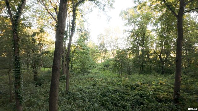 0000 E 1450 E Road, Dahinda, IL 61428