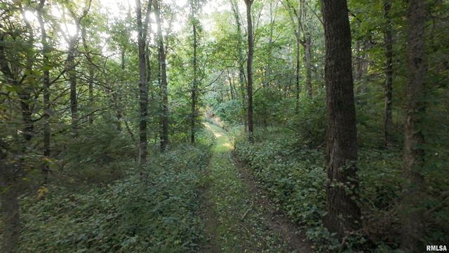 0000 E 1450 E Road, Dahinda, IL 61428