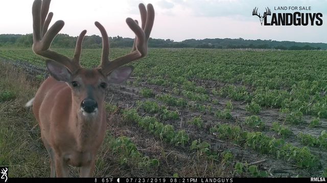 0000 E 1450 E Road, Dahinda, IL 61428