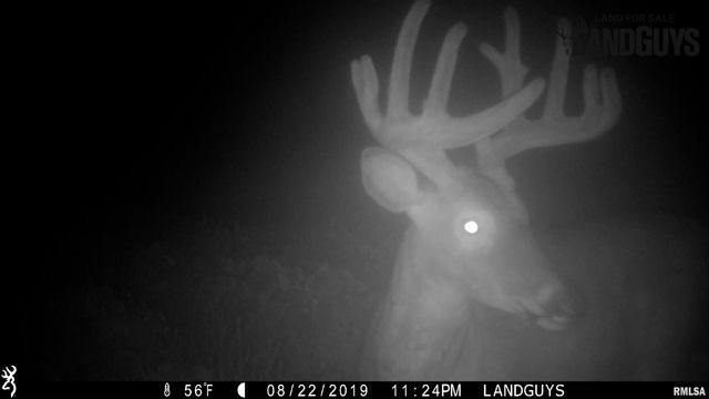 0000 E 1450 E Road, Dahinda, IL 61428