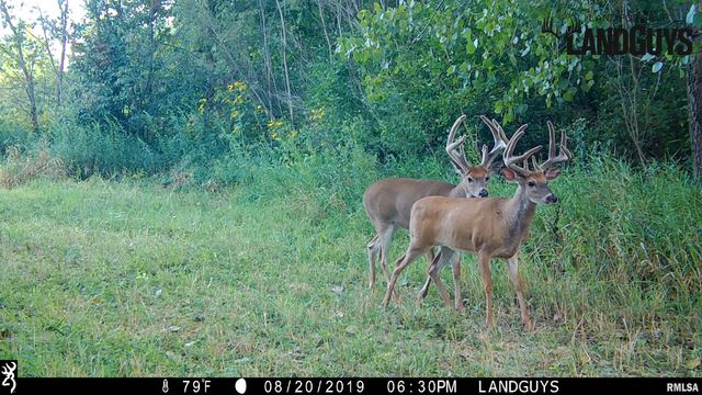 0000 E 1450 E Road, Dahinda, IL 61428