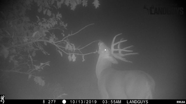 0000 E 1450 E Road, Dahinda, IL 61428