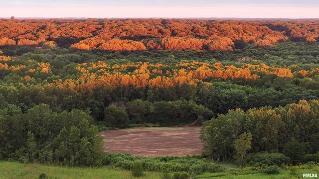 0000 E 1450 E Road, Dahinda, IL 61428