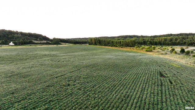 0000 E 1450 E Road, Dahinda, IL 61428