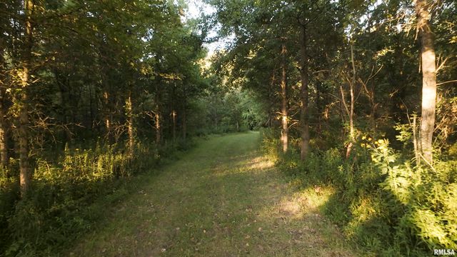 0000 E 1450 E Road, Dahinda, IL 61428