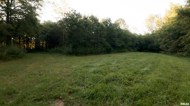 0000 E 1450 E Road, Dahinda, IL 61428