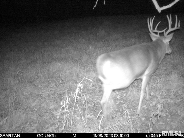 0000 E 1450 E Road, Dahinda, IL 61428