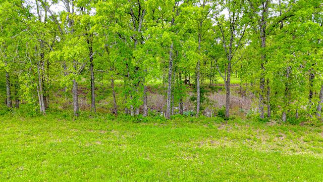 Lot 32 & 33 & BS 24 Lake Ridge Dr, Streetman, TX 75859