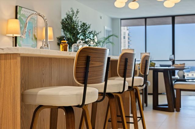 275 1ST AVENUE S 3003, St Petersburg, FL 33701