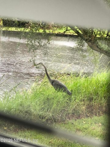 1802 BLUE HERON Lane, Jacksonville Beach, FL 32250