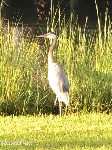 1802 BLUE HERON Lane, Jacksonville Beach, FL 32250