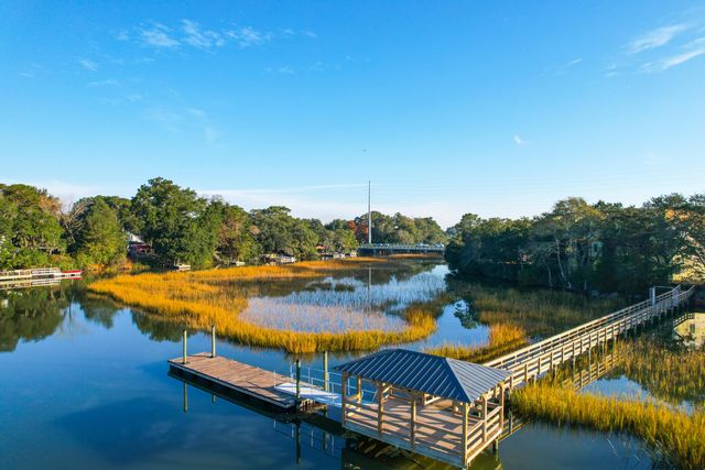 826 Curved Creek Court, Charleston, SC 29412