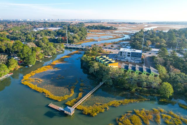 826 Curved Creek Court, Charleston, SC 29412