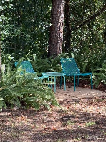 23 Dogwood Drive, Homosassa, FL 34446