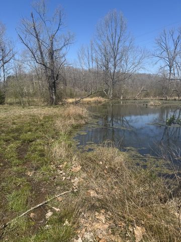 191 Forks River Rd, Waverly, TN 37185
