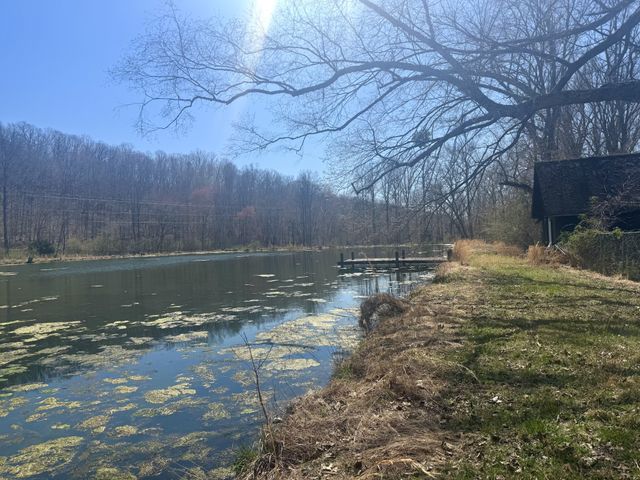191 Forks River Rd, Waverly, TN 37185